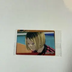 ハイキュー!!ウエハース6 No.13