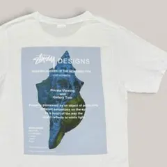 STUSSY(ステューシー)マルチボーダーポケットTシャツ クラウン L