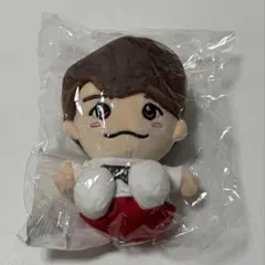 バレー 龍神NIPPON 石川祐希 ぬいぐるみ - メルカリ