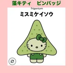 日本館 藻類 ハローキティピンバッジ ☆ ミスミケイソウ ☆万博 藻キティ