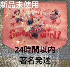 【新品】ミニーのファンダーランド　ミニーパルパルーザ　スーベニアランチケース