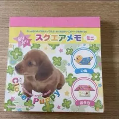 きっと（プロフィール確認）様 リクエスト 2点 まとめ商品