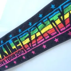 EXILE LIVE TOUR 2010 タオル FANTASY