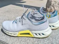 ecco ゴルフシューズ　BIOM C4 サイズ43