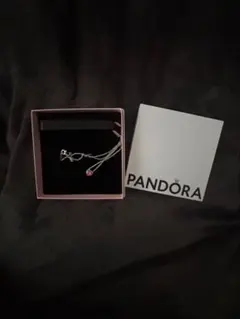 2026年最新】PANDORA 付属品：箱 レディース ネックレスの人気アイテム