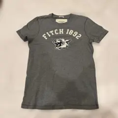 Abercrombie & Fitch FITCH Tシャツ S グレー