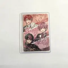 VOISINGチップ　限定コラボデザイン