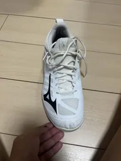 Item thumbnail for item e30ba9e5-bece-4f46-b116-386e51d10dbc