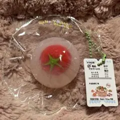海外スクイーズ Hani Bubble Studio ココオイルトマト