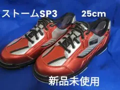 Item thumbnail for item b78b587c-729f-4cec-877a-531211553824