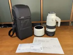 Item thumbnail for item 7ee371d7-0b5f-4fd0-85b8-925c060ec5df