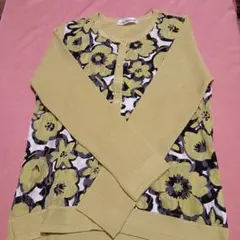 Item thumbnail for item a36ff7d9-0580-4cee-b3c3-d168731262e5