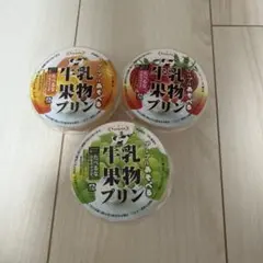 牛乳果物プリン スクイーズ - メルカリ