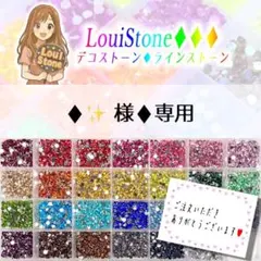 ♦︎✨ 様♦︎専用　LouiStone♦︎♦︎♦︎
