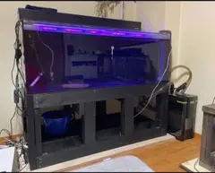 アクアギークフクロウ2PHモニター最終値下げ 楽天市場】アクアギーク 24時間測定 pHモニター FUKUROW 2