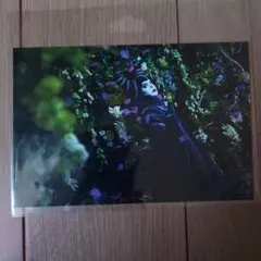 ディズニー正規品 マレフィセント ポストカード