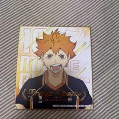 日向翔陽 ハイキュー!! 色紙