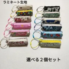 ミニポーチ２個セット　バッグチャーム、ポリ袋収納ポーチ、コインケース