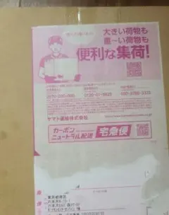 ポケモンカードゲーム MEGAドリーム　シュリンク付き　新品　外箱未開封品