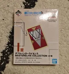 一番くじ ハンターハンター I賞 ダブルハンターライセンス