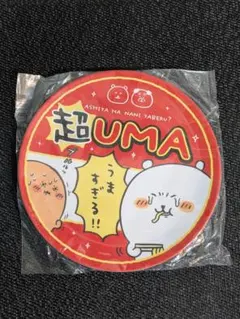 ナガノマーケット ハッピーバッグ2023 メラミンプレート
