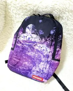 Item thumbnail for item 1c2acd43-fe6c-430d-b59c-a3f295e12796