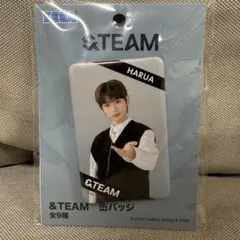 2026年最新】harua 缶バッジの人気アイテム - メルカリ