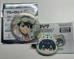ブルーロック flower crown 潔世一バッジ、アニマルヘアクリップ