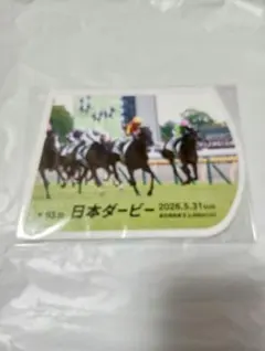 2026年最新】ゼッケン 競馬の人気アイテム - メルカリ