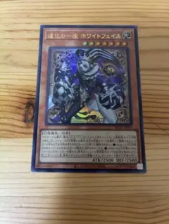 アジア版 遊戯王 道化の一座 ホワイトフェイス ウルトラ 3枚セット