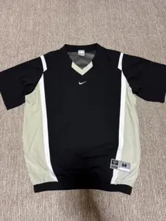 Item thumbnail for item dcf531bd-7fc4-41a1-b637-85fe87163668