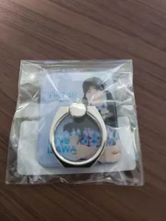 Item thumbnail for item 2df040c1-a88c-4b7b-a62c-9cd957bb1d1f