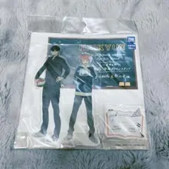 ハイキュー 制服 全身アクリルスタンド 日向翔陽 影山飛雄