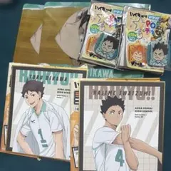 r*o様 【青葉城西】ハイキュー!! 及川徹 岩泉一セット