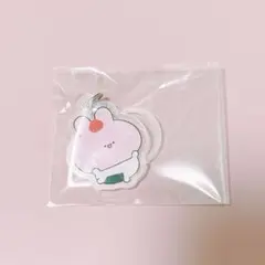 あさみみちゃん　めじるしアクセサリーのサムネイル