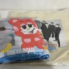 RIIZE 東京ドーム　アプグレ特典