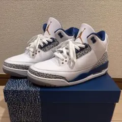 Air Jordan 3 Retro True Blue and Copper
