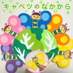 キャベツのなかから　ペープサート　ラミネートシアター　保育教材　誕生日会