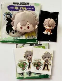 WIND BREAKER　ダイソー　兎耳山丁子