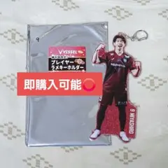 Item thumbnail for item 6e57a2b9-3837-49c7-88d8-fd636ca3a447