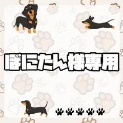 ぼにたん様専用