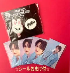 Stray Kids スキズ　リノ　リービット　ドームツアー　くじ　D賞