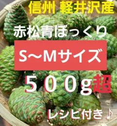 数量限定特価！】富山県産 無農薬黒松赤松青ぼっくり500g - メルカリ