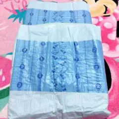 Item thumbnail for item a9a06f98-4057-444d-bb90-5fa81596f804