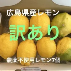 【広島県産】レモン7個のサムネイル
