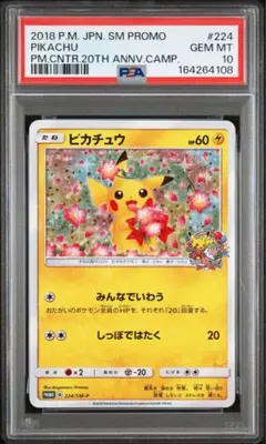 PSA10 みんなでいわう ピカチュウ プロモ 224/SM-P ポケモンカード ピカチュウ プロモ 224/SM-P みんなでいわう PSA10 | Mercari