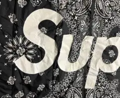 シュプリーム ×ノースフェイス　寝袋