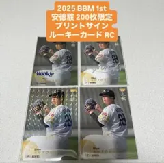 Item thumbnail for item 02a54500-1c17-45b6-81aa-193b47dcbbb9