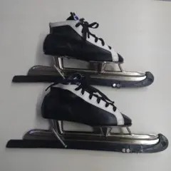 Item thumbnail for item fb67e98e-fd8f-476b-a2d0-5a47ec910a2b