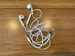 Item thumbnail for item 016c48e5-1ab6-4604-a3db-24dcb2fc4dbc